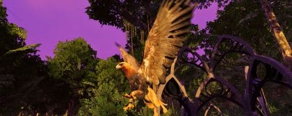 No violence or combat in a new MMO Wander