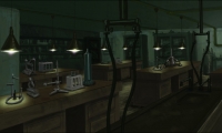 Asylum - update