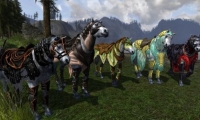 LOTRO: Riders of Rohan - new trailer for you