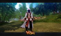 MMO Age of Wushu - Alcohol