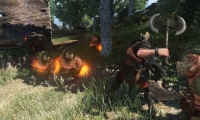 MMO Black Desert goes live in the next year