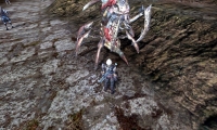 MMO Requiem calls for new update