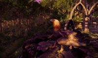 No violence or combat in a new MMO Wander