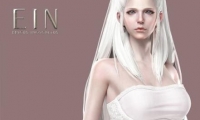 New MMO EIN - Epicus Incognitus and trailer