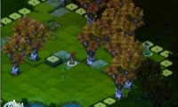 New MMO Wakfu - open beta opened