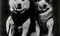 Pleasant talking with JetDogs, casual games creators