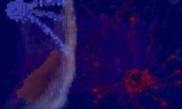 Trailer: Cell - Emergence