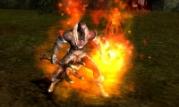 4th birthday and fun in action MMO Requiem