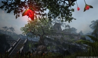 Elder Scrolls Online - Forgotten trailer and some screenshots