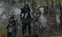 MMO The Elder Scrolls Online - new questions and answers