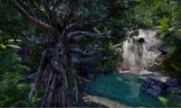 No violence or combat in a new MMO Wander