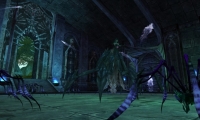 Runes of Magic: Fires of Shadowforge, offical launch date is known