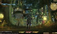 The Final Fantasy IXV: A Realm Reborn - FAQ