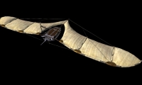 Nové obrázky z nového MMORPG ArcheAge