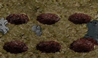 Zombie Wars
