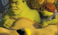 Shrek Find the Numbers