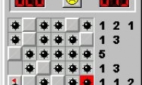 Nanosweeper