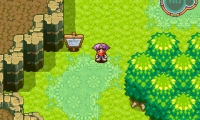 Guardian of Paradise