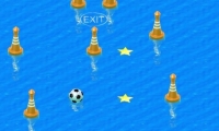 Waterball