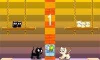 Swing Cat