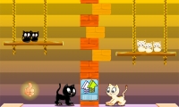 Swing Cat