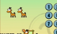 Brain Safari
