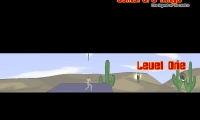 Sombrero Ninja
