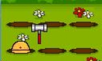 Lets Hammer