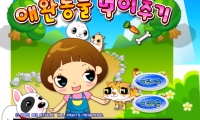 Pet Feeding