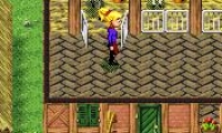 Horse & Pony - My stud farm