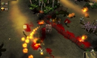 Crimson Road