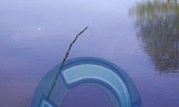 FISHIN 2 GO lite