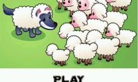 Sheep vs Wolf