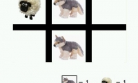 Sheep vs Wolf
