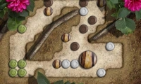 Rock Garden