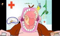 Monkey And Dentist 