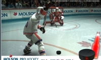 Molson Pro hockey