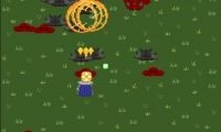 Wizards Run