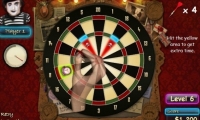 TV Darts Show