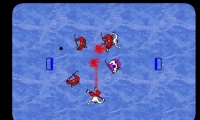 Extreme Hocky