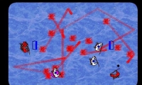 Extreme Hocky