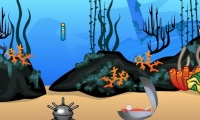 Treasure diver