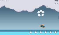 Flying Fish