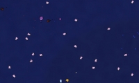 Elu undersea