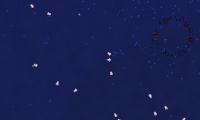 Elu undersea