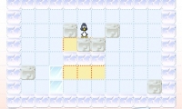 Penguin Push