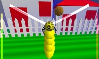 Honey Bee