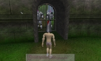 The One Knight Stand