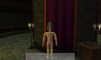 The One Knight Stand