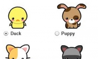 ROCK YOU PETS